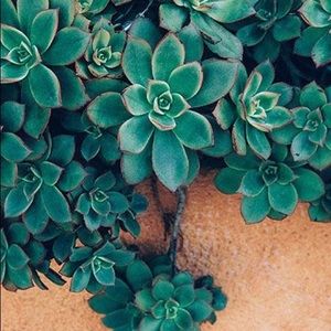 Meet your Posher, Ashlee